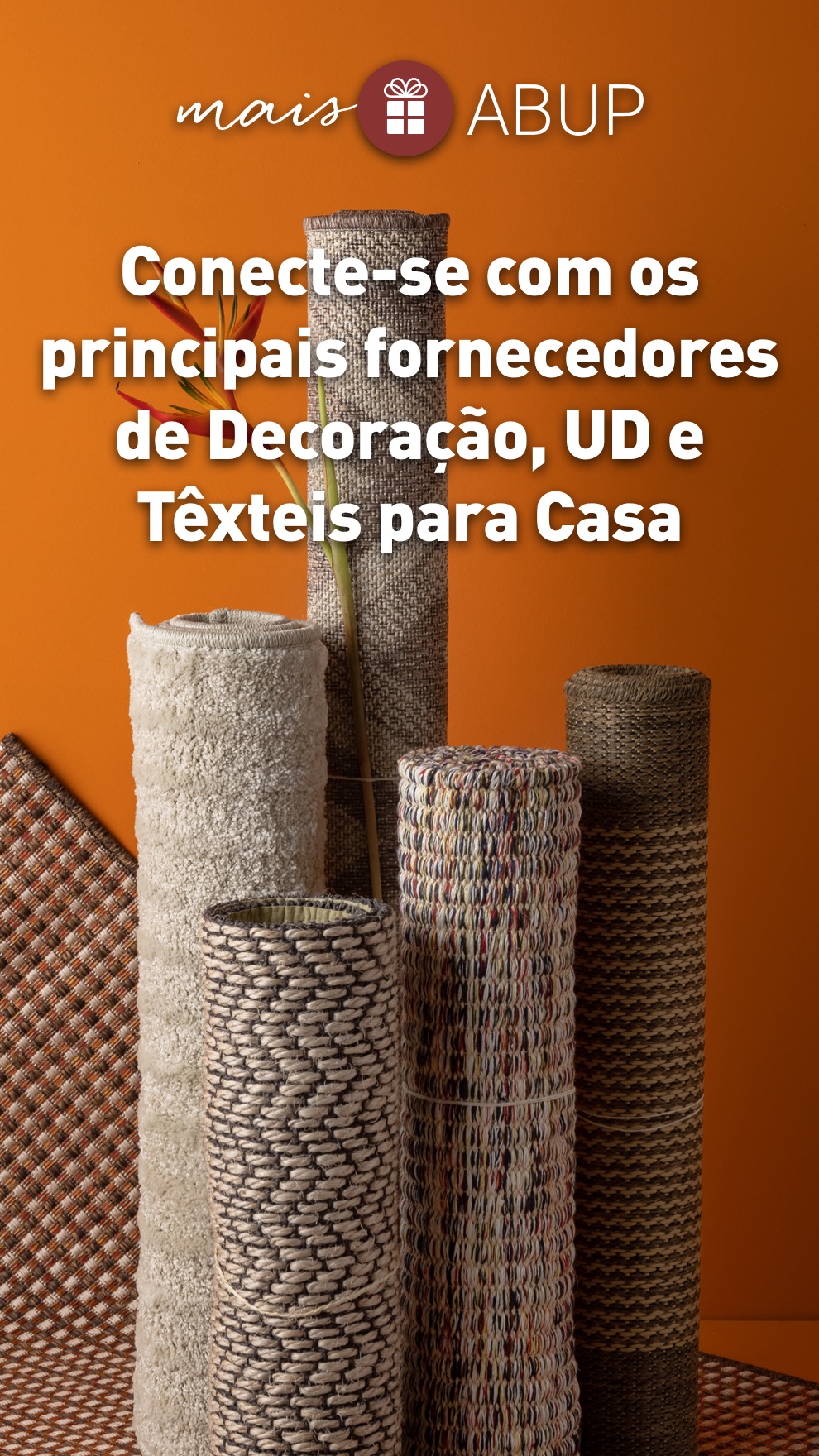 Conecte-se com os principais fornecedores de Decoração, UD e Têxteis para Casa